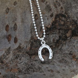 Small Horseshoe Necklace