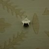 small silver star charm