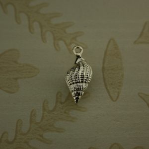 Winkle Shell