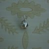 silver apple charm